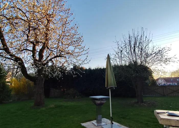 בית נופש Mit Charme Am Rennsteig - Mit 2 Saunen&holzofen Barchfeld